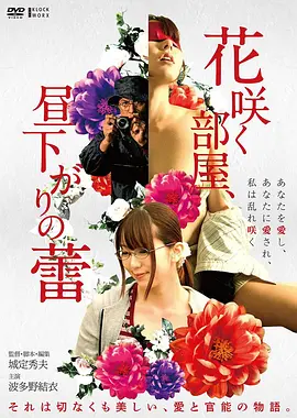《霸王别姬》经典珍藏海报